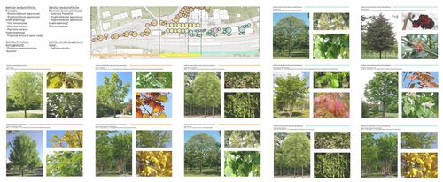 Estación y parque lineal